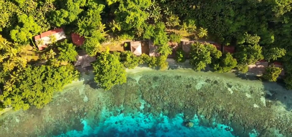 resort halmahera Taucher-Resort Halm,ahera
